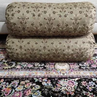 بالشت پر شش عدد