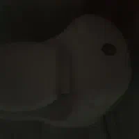 توالت فرنگی