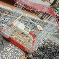 قفس مخصوص پرنده و حیوانات کوچک