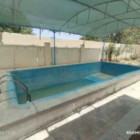 1050متری-سند-تک-برگ