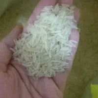 برنج هندی|خوردنی و آشامیدنی|تهران, خاوران|دیوار