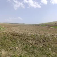 واگذاری-زمین-زراعی-بمیزان-2-هکتار-جهت-کشت-پیاز