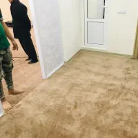 فروش یک سری پالاز موکت به قیمت مناسب|موکت|سنندج, |دیوار