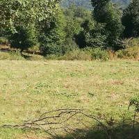 زمین مسکونی ۵۰۰متر|فروش زمین و ملک کلنگی|رشت, بازار|دیوار