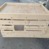 خونه برای حیوان خانگی بخصوص گربه