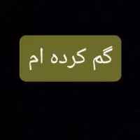 گوشواره دخترم را گم کرده ام