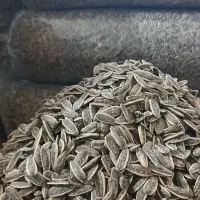 تخمه گل افتاب|خوردنی و آشامیدنی|قم, کلهری|دیوار