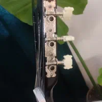 گیتار دیاموند فوق العاده