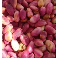 خریدفروش پسته تر