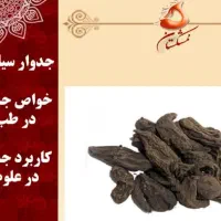 روغن سرای جاوید