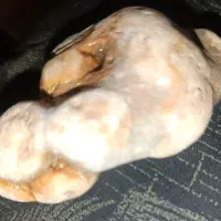 تعدادسنگهای قیمتی عقیق وجاس وشجر.ومشکوک ب شهاب|کلکسیون اشیاء عتیقه|شال, |دیوار