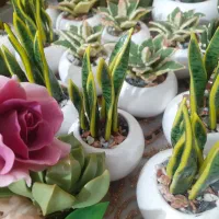 پخش عمده ی گلهای تزئینی(مراغه)|گل مصنوعی|مراغه, |دیوار