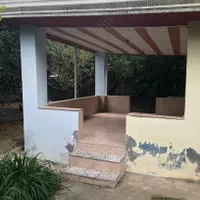 فروش باغ و خانه باسند تک برگ **تخفیف ویژه**|فروش خانه و ویلا|قائمشهر, |دیوار