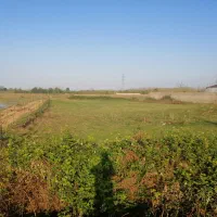 فروش فوری زمین 1000 متری گوراب زرمیخ ندامان|فروش زمین و ملک کلنگی|گوراب زرمیخ, |دیوار