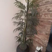 درختچه بلند مصنوعی وارداتی خارجی با گلدان|گل مصنوعی|تهران, مجیدیه|دیوار