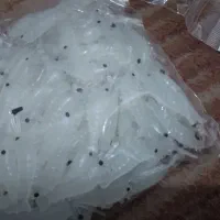 وسایل صیادی|ماهیگیری|پارسیان, |دیوار