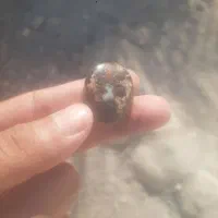 مهره کمیاب|کلکسیون اشیاء عتیقه|حمیدیه, |دیوار