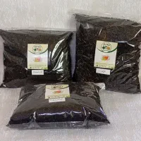 عرضه و فروش چای بهاره ۱۴۰۵
