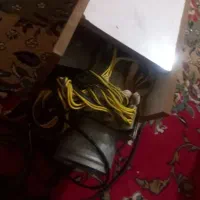 ملاشیه