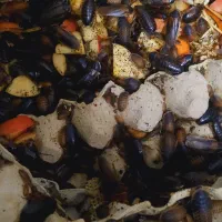 سوسک دوبیا روچ فیدر|خزنده|اصفهان, قلعه طبره|دیوار