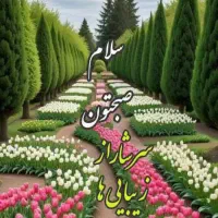 پرستاری و مراقبت از خانم سالمند بیمار در منزل
