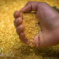 یک قطعه طلا پیدا شده