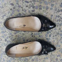 کفش مجلسی|کیف، کفش، کمربند|رشت, شهرک آیت الله منتظری|دیوار