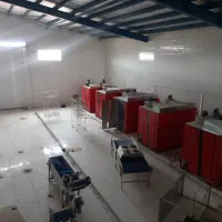 کارگاه میوه خشک