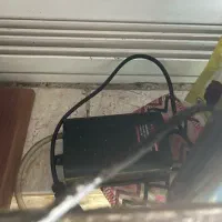 آکواریوم اصلی|ماهی|رشت, جانبازان|دیوار