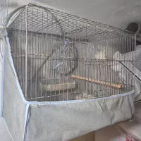 قفس سایز بزرگ قناری مرغ عشق و غیره