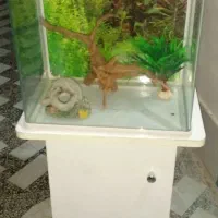 آکواریم سالم با وسیله