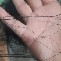 تور ماهیگیری|ماهیگیری|مشهد, رباط طرق|دیوار