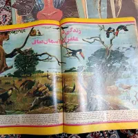 چندعددمجله خواندی...|مجلات|تهران, تاکسیرانی|دیوار