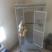 فروش قفس پرنده