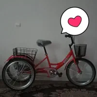 فروش سه چرخه بزرگسال ساده ALEX سایز 20