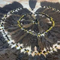 کارگاه تخصصی مو * نورانی*|خدمات آرایشگری و زیبایی|اردبیل, |دیوار