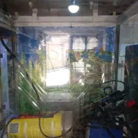 اکواریوم شرکتی شیشه خم در دو اندازه با وسایل کامل
