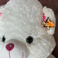 عروسک خرسی|اسباب‌بازی بچه|آستارا, |دیوار