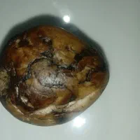 سنگ شفا درمان یا پادزهر|جواهرات|تهران, حشمتیه|دیوار