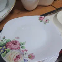 ارکوپال ۱۵ نفره