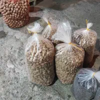 خشکبار|خوردنی و آشامیدنی|قم, ارم|دیوار