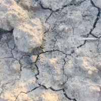 زمین-مسکونی