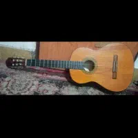 گیتار کاملا نو همراه کاور|گیتار، بیس، امپلیفایر|مشهد, شهرک شهید باهنر|دیوار