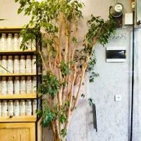 بنجامین فروش و معاوضه