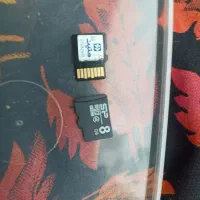 رم یا کارت حافظه اصل تایوان