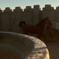 قیمت توافقی|اسب و تجهیزات اسبسواری|هرند, |دیوار