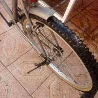 دوچرخه دماوند|دوچرخه، اسکیت، اسکوتر|مشهد, نوغان|دیوار