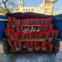 رب گوجه فرنگی غلیظ