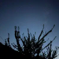 نیازمندسرویسمدرسه