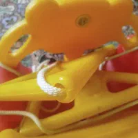 تاب تاب